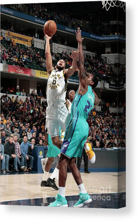 Nba Pro Basketball Canvas Print featuring the photograph Cory Joseph by Ron Hoskins