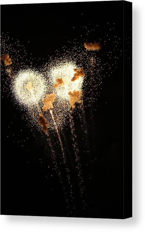 Jane Ford Canvas Print featuring the photograph Dandelion Fireworks by Jane Ford
