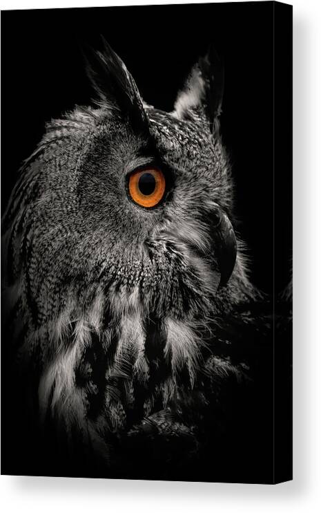 Portrait Canvas Print featuring the digital art Dark portrait eagle owl in black and white by Marjolein Van Middelkoop
