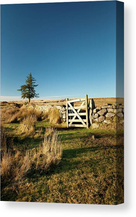 Dartmoor Gate Canvas Print featuring the photograph Dartmoor Gate ii by Helen Jackson