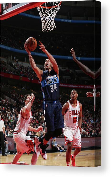 Nba Pro Basketball Canvas Print featuring the photograph Devin Harris by Gary Dineen