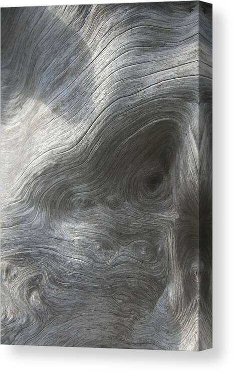 Driftwood Flow Canvas Print featuring the photograph Driftwood Flow by Dylan Punke