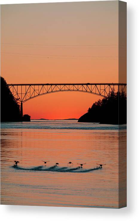 Deception Pass Canvas Print featuring the photograph Ducks Under the Bridge by Michael Rauwolf