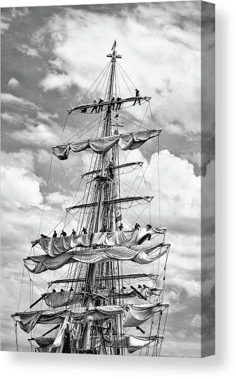 Us Coast Guard Canvas Print featuring the photograph Eagle In The Sails Black and White by Marianne Campolongo