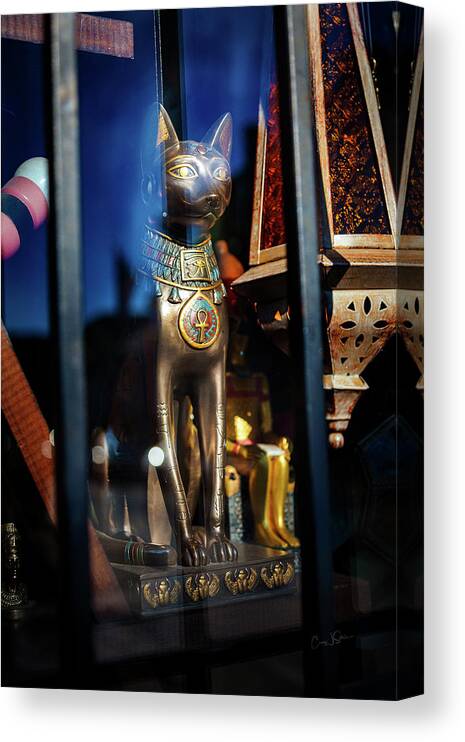 Egypt Canvas Print featuring the photograph Egyptian Cat by Craig J Satterlee