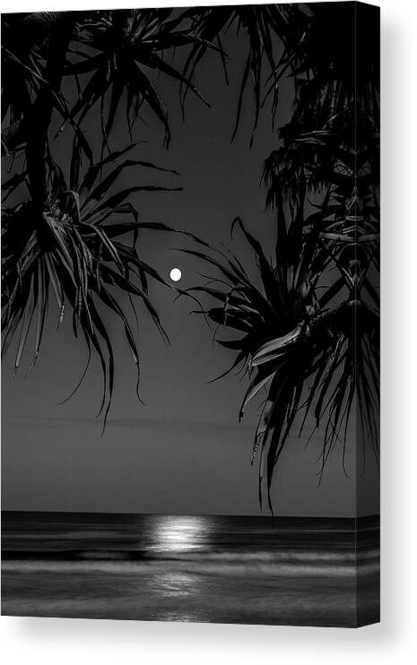 Moon Reflections Canvas Print featuring the photograph Enchanting Nights by Az Jackson