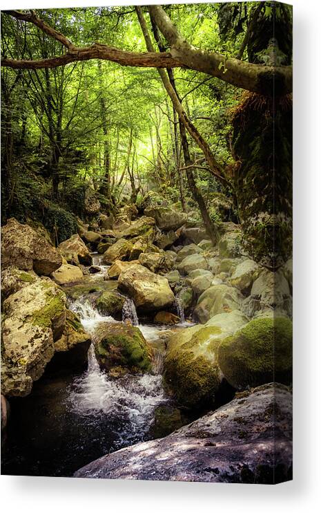 Fairy Place In The Woods Canvas Print featuring the photograph Fairy place in the woods by Lilia S