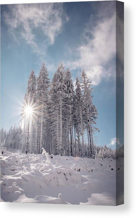 Highlands Canvas Print featuring the photograph Fairy-tale wilderness covered in snow by Vaclav Sonnek