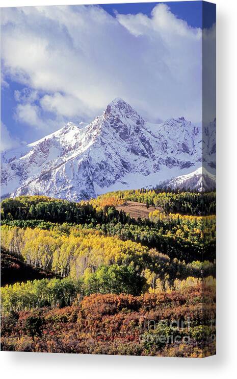 Sneffels Mountain Range Canvas Print featuring the photograph Fall Foliage by Bob Phillips