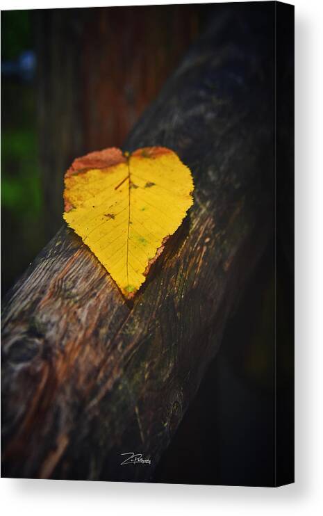 Love Canvas Print featuring the photograph Fall in Love by Ingrid Zagers