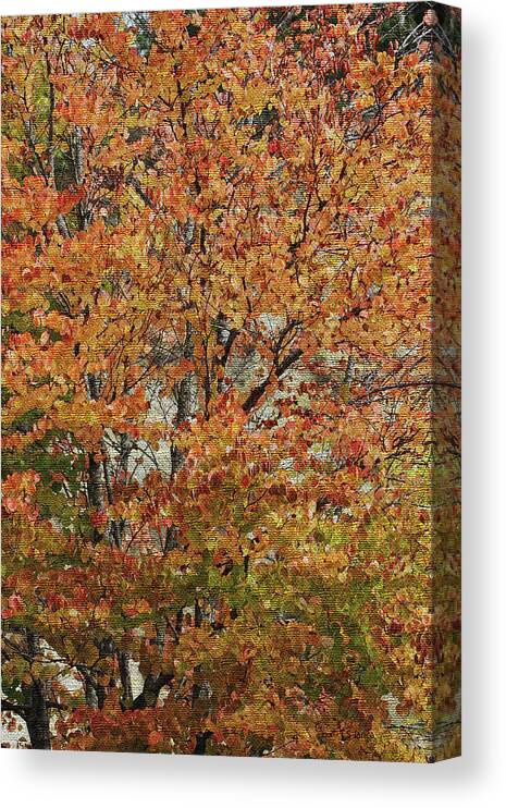 Fall Leaves In The Trees Canvas Print featuring the digital art Fall Leaves In The Trees by Tom Janca