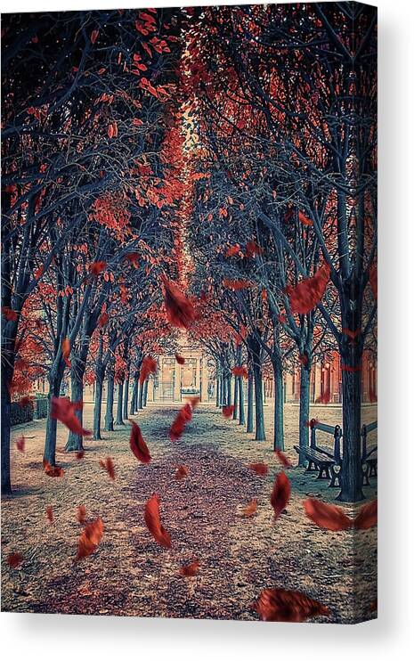 Autumn Canvas Print featuring the photograph Falling Leaves by Manjik Pictures