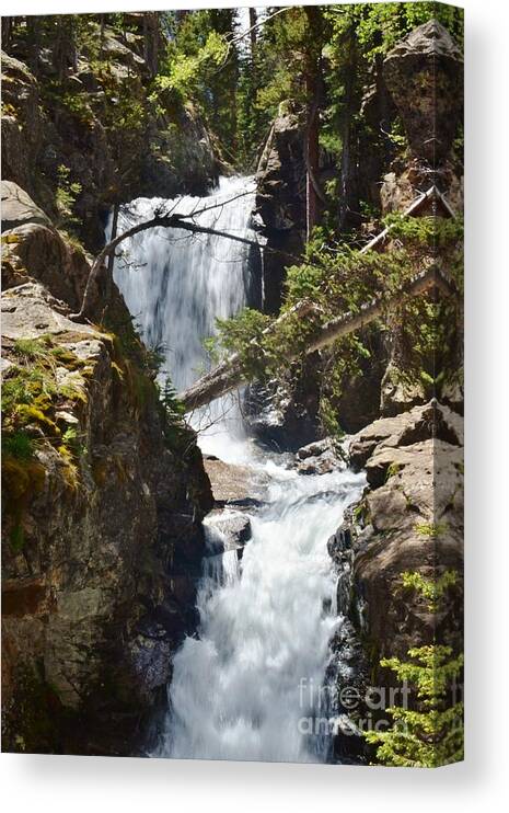 Waterfall Canvas Print featuring the photograph Falls in the Rockies by Tonya Hance