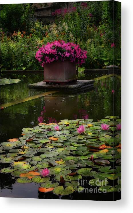 Water Lilies Canvas Print featuring the photograph Floral Oasis by Yvonne Johnstone