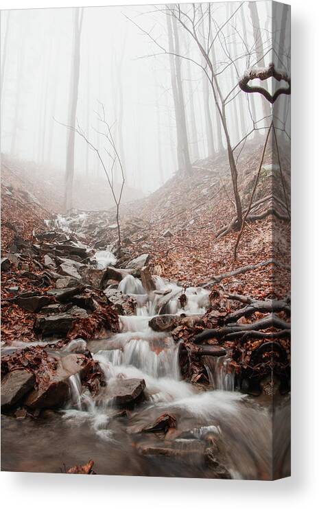 Foggy Canvas Print featuring the photograph Foggy morning in a deciduous forest by Vaclav Sonnek