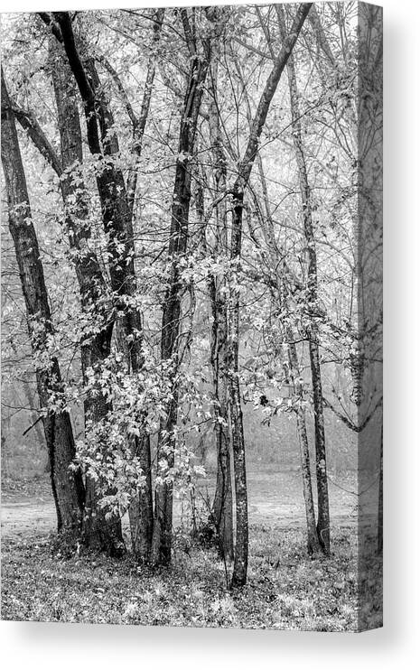 Carolina Canvas Print featuring the photograph Foggy Mountain Morning Black and White by Debra and Dave Vanderlaan