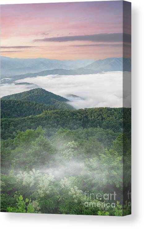 Photography Canvas Print featuring the photograph Foothills Collage by Phil Perkins