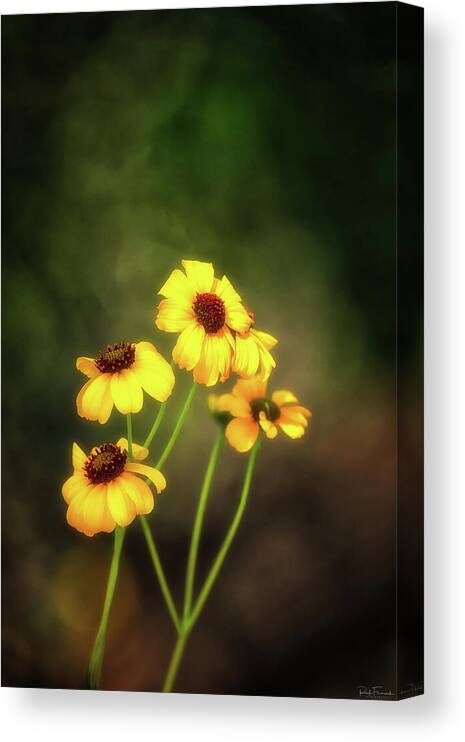 Arizona Canvas Print featuring the photograph For Everything There is a Season by Rick Furmanek