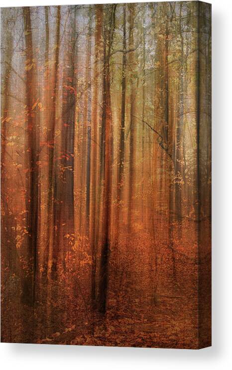 Photography Canvas Print featuring the digital art Forest Dream by Terry Davis