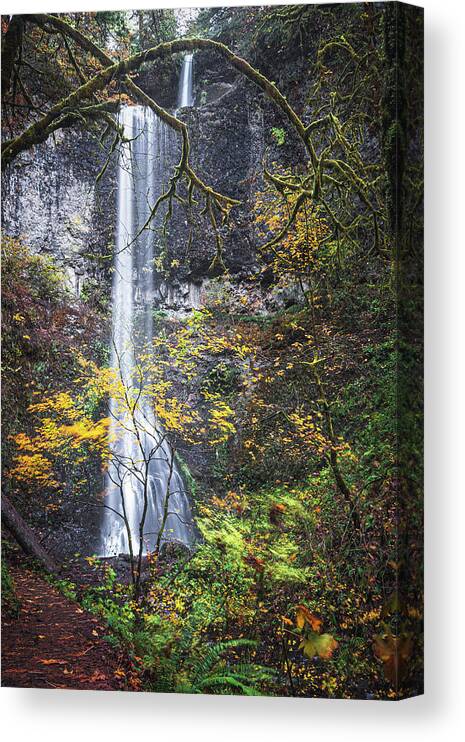 Forest Canvas Print featuring the photograph Forest Falls by Ryan Weddle