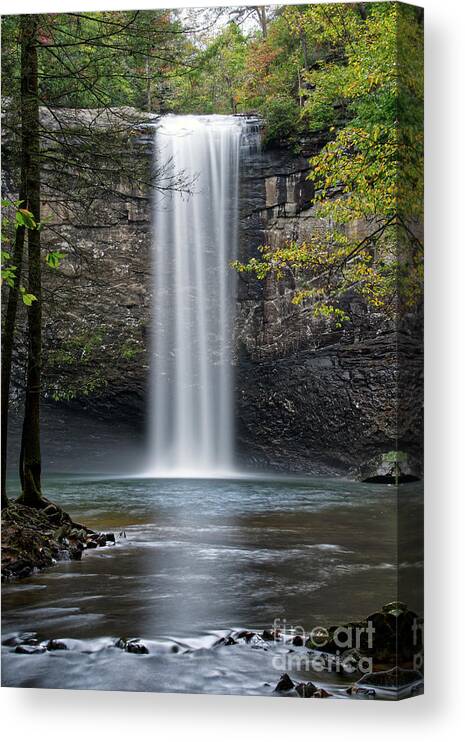 Foster Falls Canvas Print featuring the photograph Foster Falls 13 by Phil Perkins