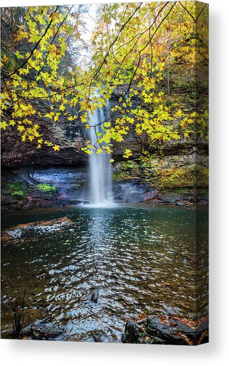 Cherokee Canvas Print featuring the photograph Framed by Golds II by Debra and Dave Vanderlaan