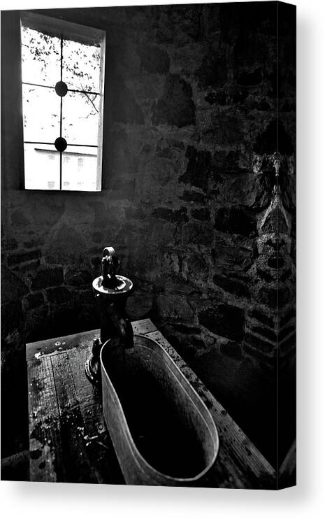 Rock Canvas Print featuring the photograph Fresh Spring Water by George Taylor