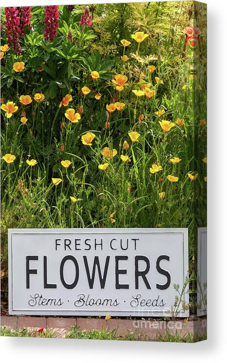 Flowers Canvas Print featuring the photograph Garden flowers with fresh cut flower sign 0749 by Simon Bratt