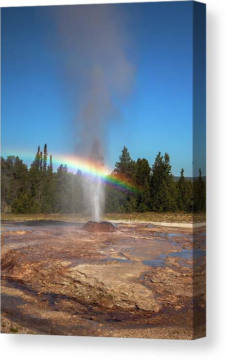 Ark Canvas Print featuring the photograph Geyser Bow by Rick Furmanek