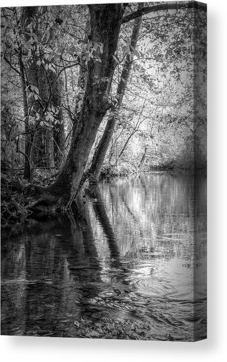 Andrews Canvas Print featuring the photograph Glossy Reflections at the River Black and White by Debra and Dave Vanderlaan