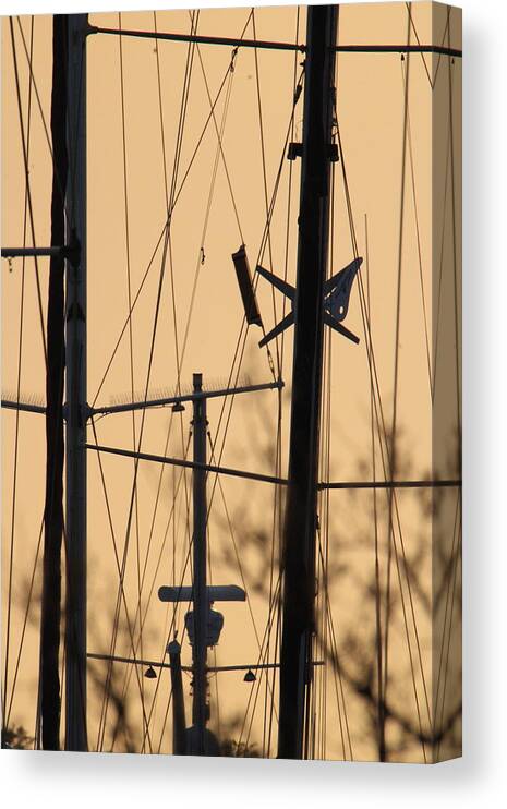 Southport Canvas Print featuring the photograph Golden Masts by Heather E Harman