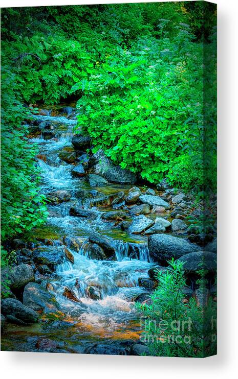 Stream Canvas Print featuring the photograph Golden Pond Stream by Pamela Dunn-Parrish