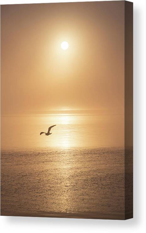 Sunrise Canvas Print featuring the photograph Golden Sunrise by Mary Hone