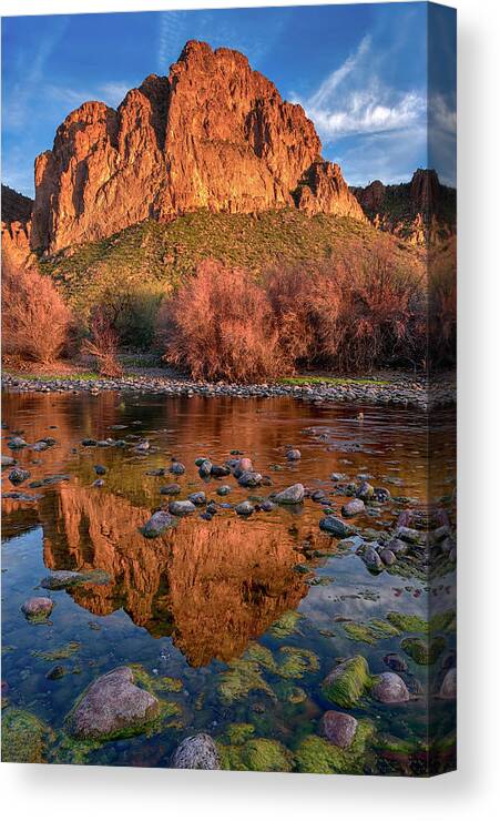 Cliff Reflections Canvas Print featuring the photograph Goldfield Mountain reflections vertical by Dave Dilli