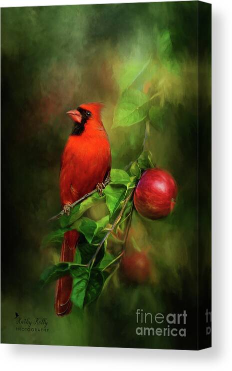 Cardinal Canvas Print featuring the mixed media Handsome Cardinal by Kathy Kelly