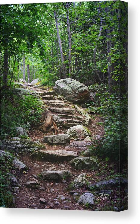 Stokes Forest Canvas Print featuring the photograph Hiking Stokes Forest by Ingrid Zagers