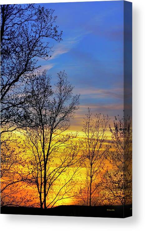 Sunset Canvas Print featuring the photograph Hilltop Sunset by Christina Rollo