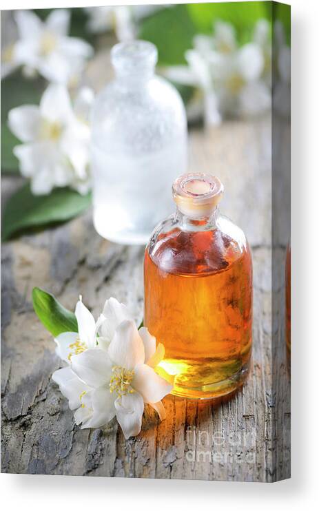 Essential Canvas Print featuring the photograph Homemade Essential oil and fresh jasmine flower by Jelena Jovanovic