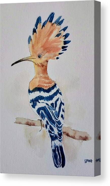 Bird Canvas Print featuring the painting Hoopoe by Sandie Croft