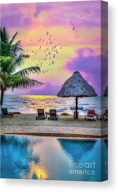 Hopkins Canvas Print featuring the photograph Hopkins Belize Sunset Birds by David Zanzinger