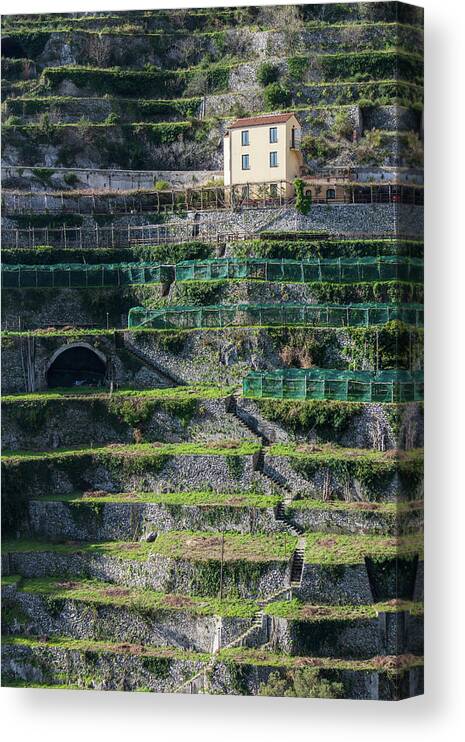 Amalfi Canvas Print featuring the photograph House on Lemon Terracing by Umberto Barone