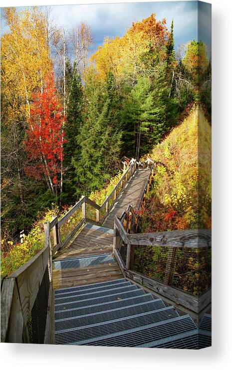 Au Sable River Canvas Print featuring the photograph Huron Manistee National Forest in Michigan with fall colors by Eldon McGraw