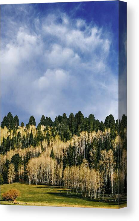Nature Canvas Print featuring the photograph I Like To Watch by The Walkers