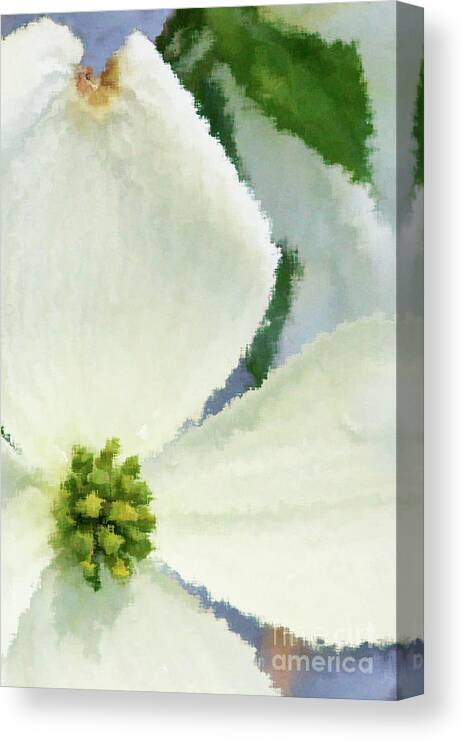 Dogwood; Dogwood Blossom; Blossom; Flower; Impressionist; Macro; Close Up; Petals; Green; White; Blue; Calm; Square; Pastel; Leaves; Tree; Branches Canvas Print featuring the digital art Impression Dogwood 4 by Tina Uihlein