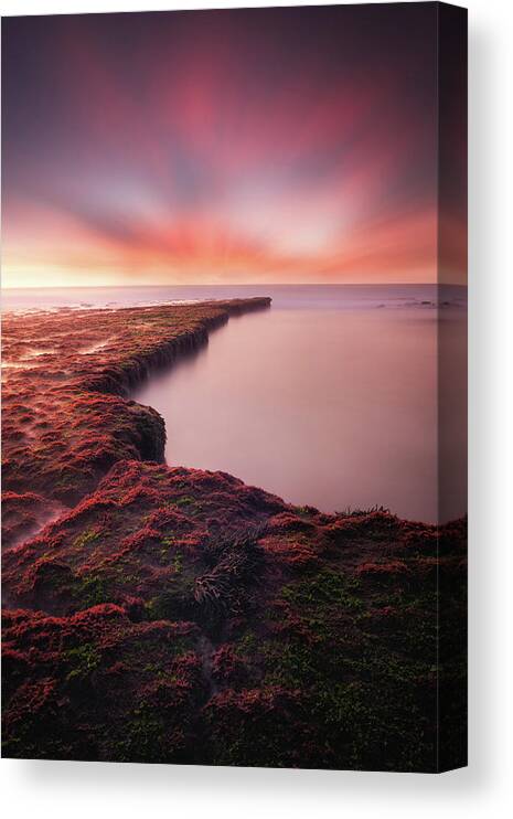 Sunset Canvas Print featuring the photograph Infinitum by Jorge Maia