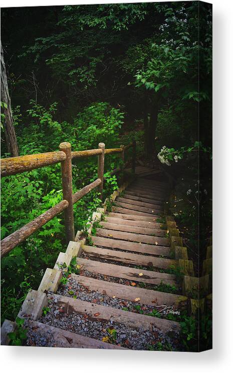 Path Canvas Print featuring the photograph Into the Forest by Ingrid Zagers