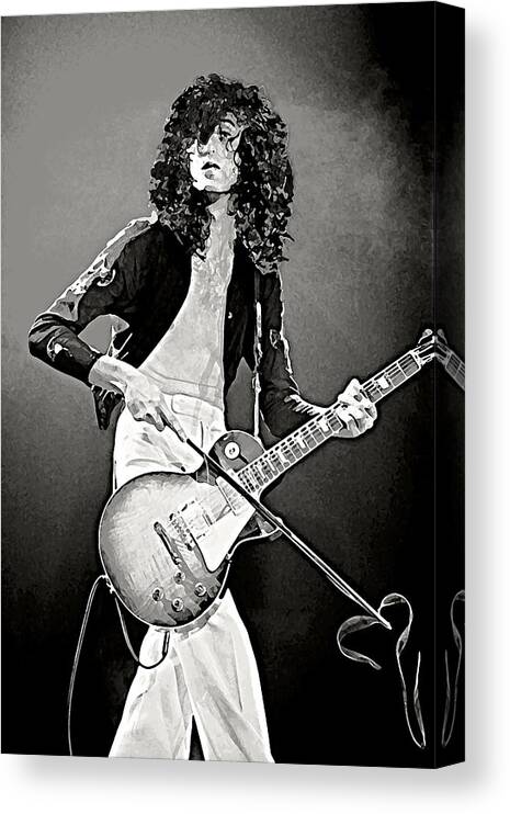 CANVAS Led Zeppelin concert poster! Art Print POSTER 