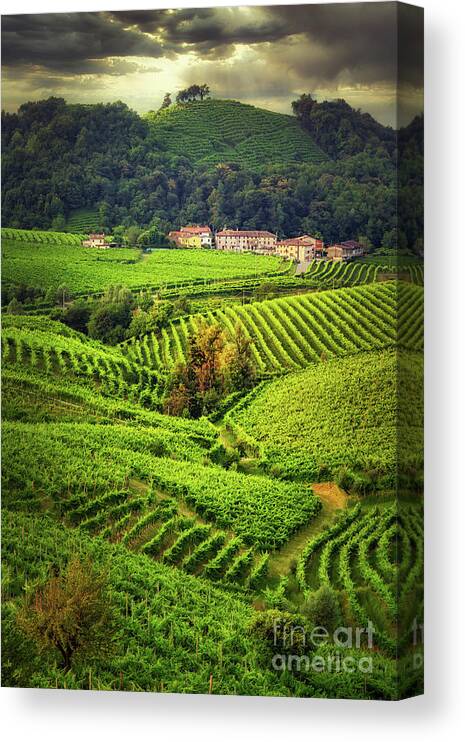 Prosecco Canvas Print featuring the photograph Just after the storm by The P