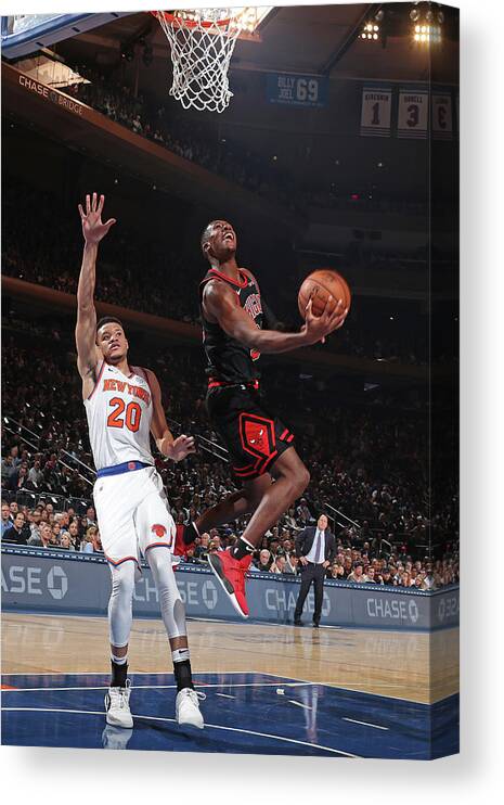 Chicago Bulls Canvas Print featuring the photograph Kris Dunn by Nathaniel S. Butler