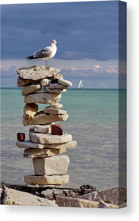 Seagull Canvas Print featuring the photograph King of the Cairn - seagull atop cairn with sailboat at Lake Michigan shoreline at Milwaukee by Peter Herman